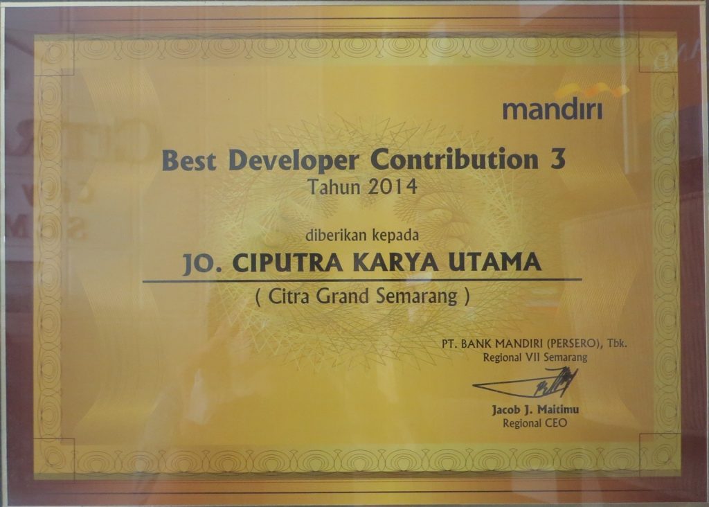 Best developer contribution 3 tahun 2014